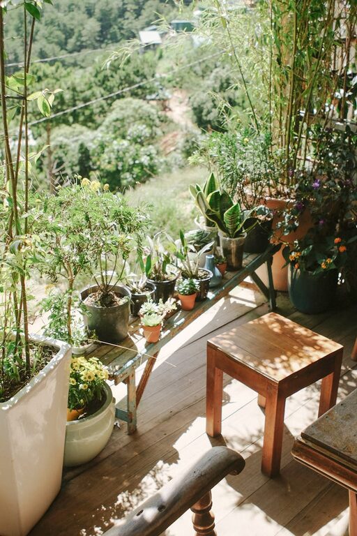 Tips for Creating a Beautiful and Functional Small Garden Space